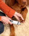 Krallenschleifer Hunde mit LED-Leuchten 40 Dezibel super-leise Lärm krallen