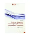 Analyse - diagnostic d'ouvrages hydrauliques réalisés sur le Baobolong: Cas du