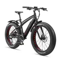 Telefunken E-Bike 26 Zoll Fatbike MTB Pedelec 8 Gang Kette Aufsteiger FM350