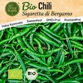 Chili Samen (BIO) - 10Samen Gemüsesamen Chilisamen Sigaretta di Bergamo