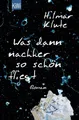 Was dann nachher so schön fliegt | Hilmar Klute | 2020 | deutsch