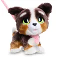 Just Play furReal Walk-A-Lots Bernedoodle interaktives Spielzeug, 20 (US IMPORT)