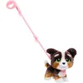 Spectron Furreal läuft viel Bernedoodle