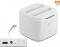 Delock USB Type-C 3.2 Dockingstation für 2 x 2.5? SATA HDD SSD mit Klon Typ C (63084)