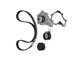 CONTINENTAL CTAM Wasserpumpe + Zahnriemensatz ct1092wp1 für Ford MINI Volvo Fiat Peugeot MAZDA Citroën Suzuki