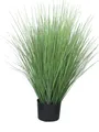 artplants Deko Gras Rutenhirse Yamin, grün, 75 cm