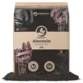 Sybotanica - Alokasien-Erde 20 L – Premium Coco Blumenerde für Alocasia, Colocasia, Caladium & mehr, Torffrei & 180 Tage Bio-Dünger – Für Zimmerpflanzen-Liebhaber