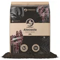 AlokasienErde 20 L – Premium Coco Blumenerde für Alocasia, Colocasia, Caladi...