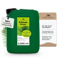 Flora Boost Palmen Dünger Flora Boost 5000ml I Für bis zu 1000L Gießwasser I Pflanzenstärkungsmittel für alle Arten von Palmen I Flüssiger Blatt- & Wurzeldünger I 100% natürlicher Pflanzendünger