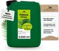 Palmendünger für alle Palmen auch Hanfpalmen von Flora Boost 5 Liter