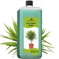 Yucca Palmen Dünger von Flora Boost 500ml