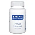 pure encapsulations Panax Ginseng 60 St