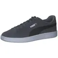 PUMA Puma Unisex Sneaker Smash 3.0 390984 Sneaker grau 40,5 EU