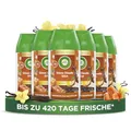 Air Wick Freshmatic Max Raumspray – Nachfüller für den Air Wick Freshmatic Max – Duft: Warm Vanilla Wish – 6 x 250 ml Nachfüller