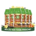 Air Wick Freshmatic Max Nachfüller Warm Vanilla Wish 6x250ml Lufterfrischer