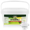 GOLDEN PEANUT Vitamin C Pulver 10 kg reine Ascorbinsäure ohne Zusätze hochdosiert vegan und ohne Gentechnik