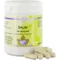 Holisan - Salai boswellia serrata - 100 Kapseln