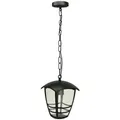 Gartenlampe Hängelampe IMMA Black C E27 schwarz Kette 0,5m IP44 EDO777383 EDO Garden Line - Schwarz