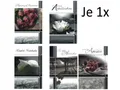 5 Trauerkarten Kondolenzkarten Beileidskarten mit Umschlag jedes Motiv 1x (V3)