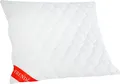 Badenia Trendline Federbettdecke + Kopfkissen Badenia Trendline Kopfkissen Micro weiß, 80 x 80