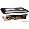 Exo Terra Tiertransportbox Faunarium flach groß / Maße: 46 x 31 x 17,5 cm Gewicht: 753 g