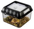 Exo Terra Breeding Box, Brutbox, stapelbares Zuchtterrarium, S, 20,5 x 20,5 x 15cm