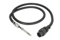 Sensor, Abgastemperatur - DINEX 81033