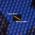 DAVID GRAY - WHITE LADDER (20TH ANNIVERSARY EDITION/DELUXE 2CD)  2 CD NEU