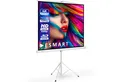ESMART ESMART Germany Stativ Leinwand Stativleinwand (Economy EXS)