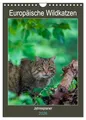 Europäische Wildkatzen - Jahresplaner (Wandkalender 2026 DIN A4 hoch), CALVENDO Monatskalender: 12 Portraits der scheuen Wildkatze (CALVENDO Tiere)