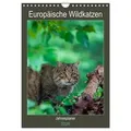 Europäische Wildkatzen - Jahresplaner (Wandkalender 2026 DIN A4 hoch) CALVENDO Monatskalender von Janita Webeler/ Calvendo / Calvendo / Kalender