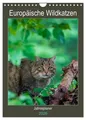 Janita Webeler | Europäische Wildkatzen - Jahresplaner (Wandkalender 2026 DIN...