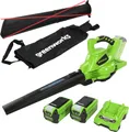 Greenworks Akku-Laubbläser GD40BVK2X – 185 km/h, 9 m³/min, 6,47 kg