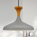 Champion Pendelleuchte aus Holz, 35 cm Hängelampe Metall E27 Moderne, Skandinavisch Pendellampe für Schlafzimmer Wohnzimmer Esstisch Lampe - Grau