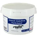 Gelatine Hydrolysat Equus Vet 1000 G
