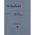Franz Schubert - Impromptus und Moments musicaux