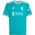 adidas FC Liverpool 25-26 3rd Teamtrikot Kinder in seagre, Größe 176