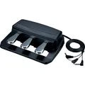 Roland RPU-3 (Instrumenten Fusspedal) (410821)