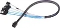 Silverstone Technology Adapterkabel SST-CPS05-RE, mini-SAS