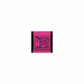 ERNIEBALL EB2223 Super Slinky Satz 009-042