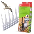 SWISSINNO Vogelabwehr Spikes Taubenabwehr 100cm - Zaun Spikes der Vogelabschreckung deckt 3 X 33cm - Langzeitschutz zur sofortigen Montage - UV-beständig - Tauben Abschreckung