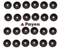 Payen HR5107 Dichtungssatz für Ventilschaft für BMW für Alpina