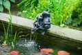 Ubbink Wasserspeier Frosch 2