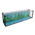 FT81 Zucht-Aquarium 38L–8-Kammer Systembecken mit Biofilter für Betta & Garnelen