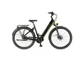 Prophete E-Bike Geniesser 6.0 City 28"