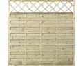 Zaun Hauptelement PLUS Bergen mit Rankgitter 180 x 180 cm kesseldruckimprägniert