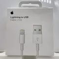 Apple Lightning auf USB Kabel (1 m)