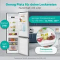 BOM KG 7357 Kühlkombi ix-look - Silber