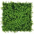 Jangal Wandpaneel Modular Wall Mixed Green Design Buxus 52 x 52 cm