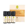Primavera Aroma Sauna Kraft & Ruhe  3x10ml